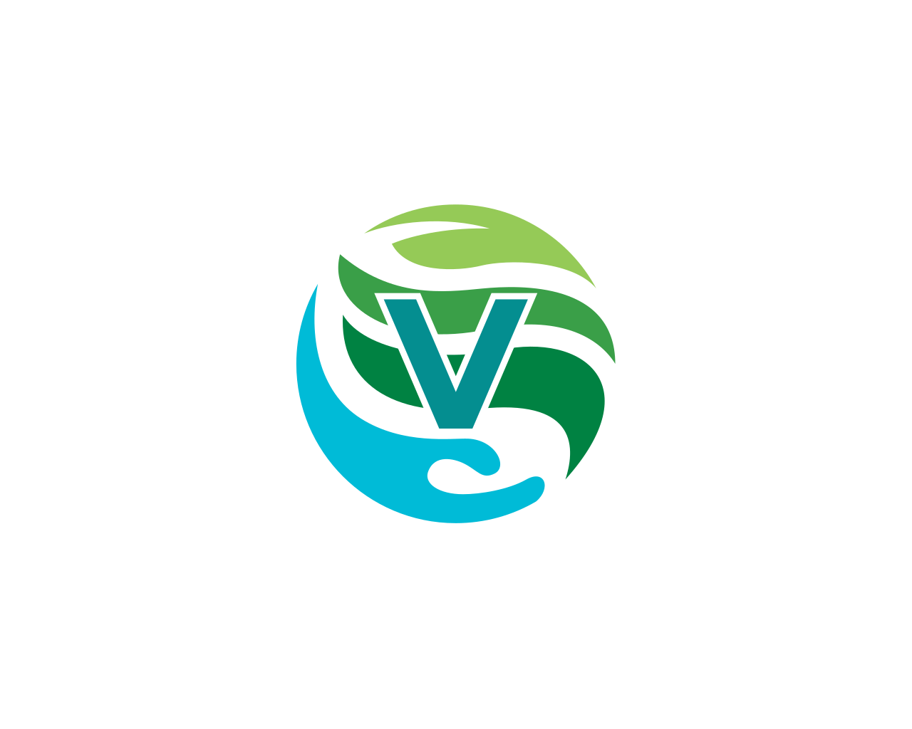 V-Safe World Logo